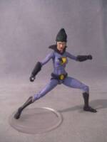Jayna (DC Infinite Heroes) Custom Action Figure