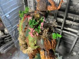Swamp Thing (Swamp Thing) Custom Action Figure