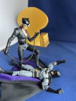 Catwoman (DC Multiverse) Custom Action Figure