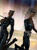 Catwoman double special (Marvel Legends) Custom Action Figure