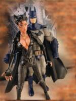 Catwoman (Batman) Custom Action Figure