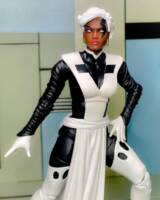 Storm - Age of Apocalypse (Marvel Legends) Custom Action Figure