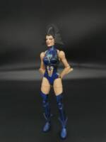 Lilandra (Fugitive) V2 (Marvel Legends) Custom Action Figure