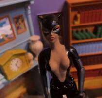 Catwoman (Batman - New Animated Series) Custom Action Figure