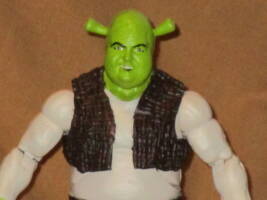 Shrek and Fiona (Movie Maniacs) Custom Action Figure
