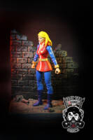 Wonder Woman - Cathy Lee Crosby (DC Universe) Custom Action Figure