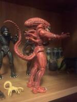 Alien Warrior (Red Strain) (Aliens) Custom Action Figure