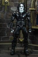 The crow (Crow) Custom Action Figure