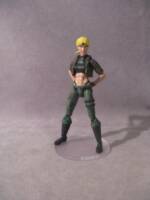 Shaolin Monks Sonya Blade (Mortal Kombat) Custom Action Figure
