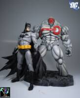 Fuji (Justice League) Custom Action Figure