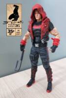 Red Hood Outlaw (DC Multiverse) Custom Action Figure