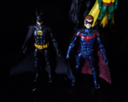 Robin : Redbird (Batman and Robin) (Batman & Robin) Custom Action Figure