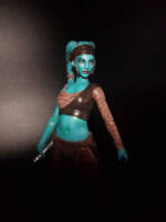 Aayla Secura (Star Wars) Custom Action Figure