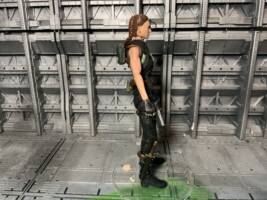 Lara Croft (Angelina Jolie) Tomb Raider (Tomb Raider) Custom Action Figure