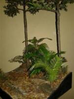 Predator Jungle (Predator) Custom Diorama / Playset
