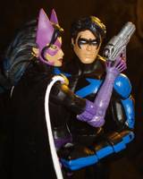 Nightwing (Version 2) (Batman) Custom Action Figure