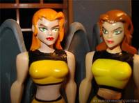 Shayera Hol (Justice League Unlimited) Custom Action Figure
