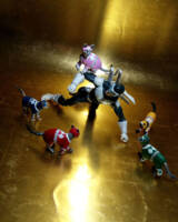 Mighty Morphin Meower Cat Rangers (Power Rangers) Custom Action Figure