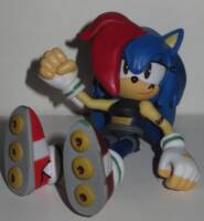 Anastasia the Hedgehog (Sonic) Custom Action Figure