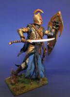 Noldor Elven Warrior, prologue, Battle of Dagorlad (Lord of the Rings) Custom Action Figure