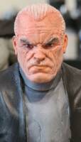 Bruce Wayne & Ace - Batman Beyond (Batman Beyond) Custom Action Figure