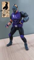 sportsmaster (DC Multiverse) Custom Action Figure