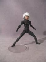 Age of Apocalypse Aurora (Marvel Universe) Custom Action Figure