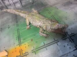 Albine alligator (Horror) Custom Action Figure