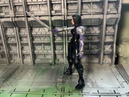 Alita - the Battle Angel (Alita: Battle Angel) Custom Action Figure