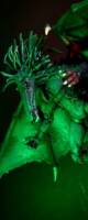 N'astirh Limbo Demonlord (Marvel Legends) Custom Action Figure