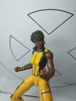 Vixen (DCEU) (DC Multiverse) Custom Action Figure