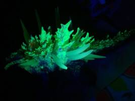 Super Godzilla variant custom (Godzilla) Custom Diorama / Playset [Glow]