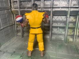 Sean (Street Fighter) (Street Fighter) Custom Action Figure