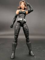 Mastermind II / Martinique Wyngarde (Marvel Legends) Custom Action Figure