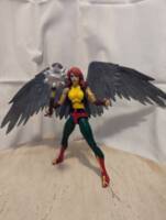 Hawkgirl (DC Universe) Custom Action Figure