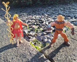 Mercury DC (Flash) Custom Action Figure