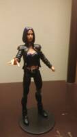 Civilian Clothes Raven as seen in Fortnite (DC Multiverse) Custom Action Figure [The lighting is ok]