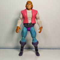 Prince Adam (Masters of the Universe) Custom Action Figure