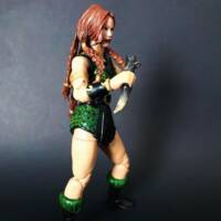 Tenel Ka Djo (New Jedi Order) (Star Wars) Custom Action Figure