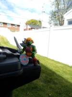 The Eternia Turtle He-Ralph (Teenage Mutant Ninja Turtles) Custom Action Figure