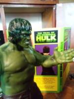 Incredible Hulk Lou Ferrigno (Marvel) Custom Action Figure
