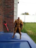 Catman (DC Universe) Custom Action Figure