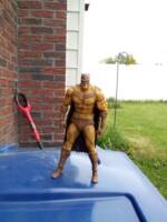 Catman (DC Universe) Custom Action Figure