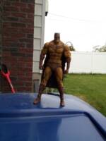 Catman (DC Universe) Custom Action Figure