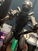 Alien Warriors (Aliens) Custom Action Figure