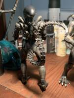 Alien Drone #2 (Aliens) Custom Action Figure