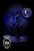 Shadow Thief (DC Universe) Custom Action Figure