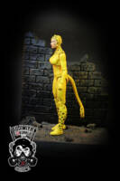 Cheetah (Super Friends) (DC Universe) Custom Action Figure
