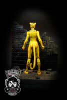 Cheetah (Super Friends) (DC Universe) Custom Action Figure