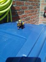 Wolverine (Original) Custom Action Figure
